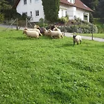 Apartmán Bucher *