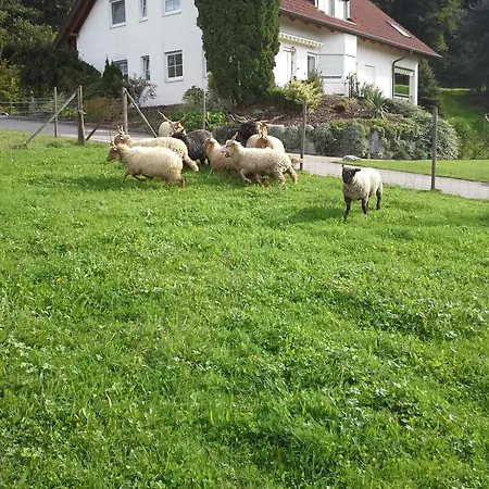 Lägenhet Bucher *
